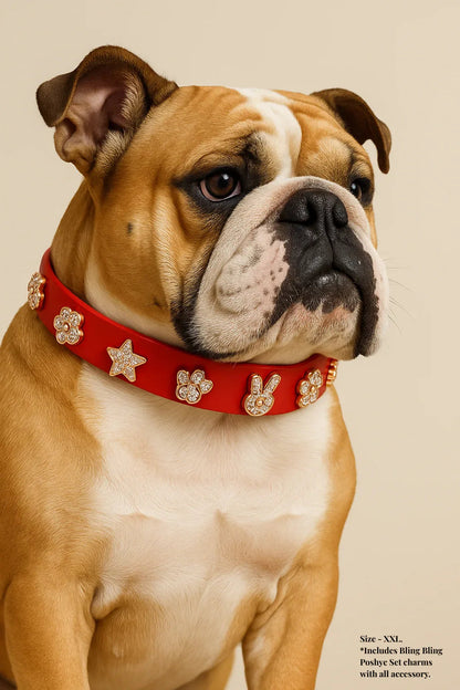 ClipUp Collar - POSHYC