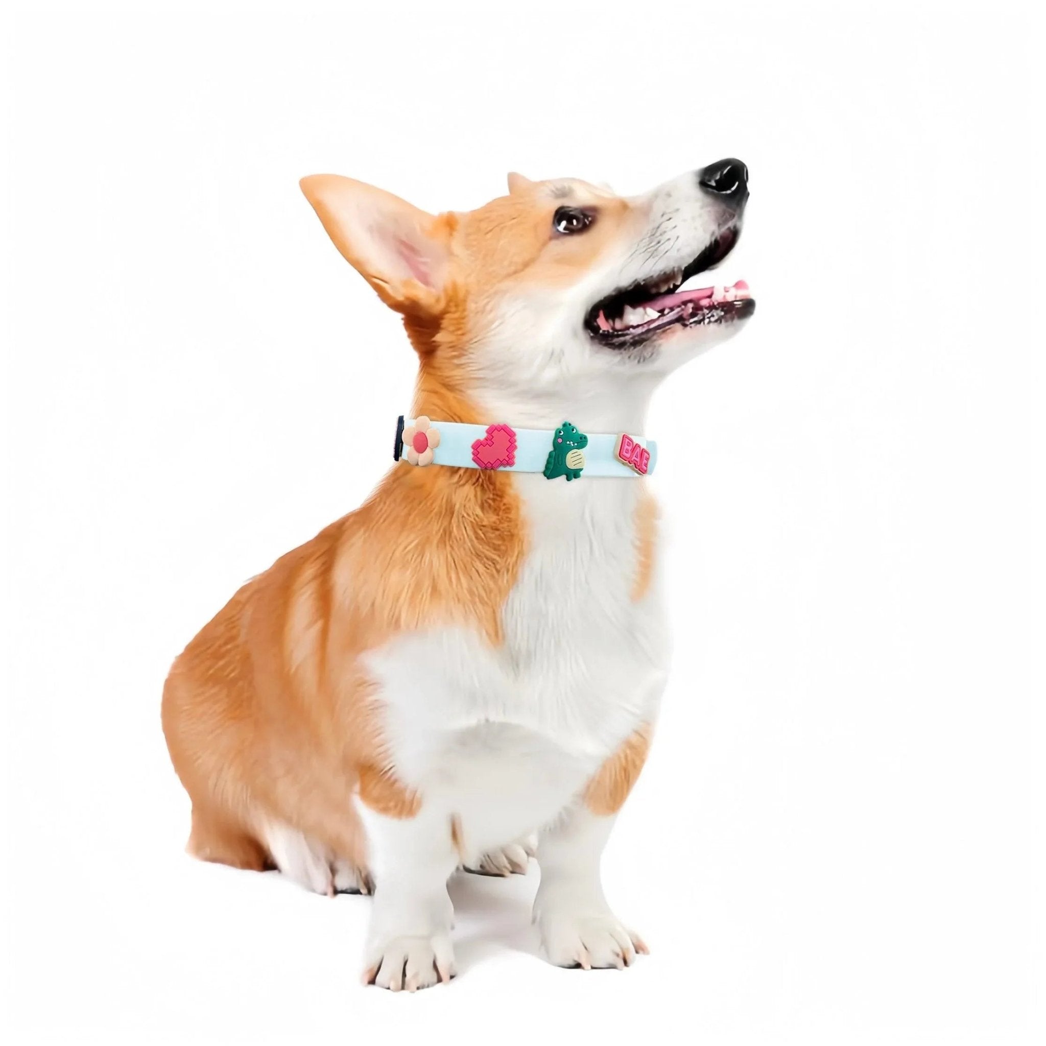 ClipUp Collar - POSHYC