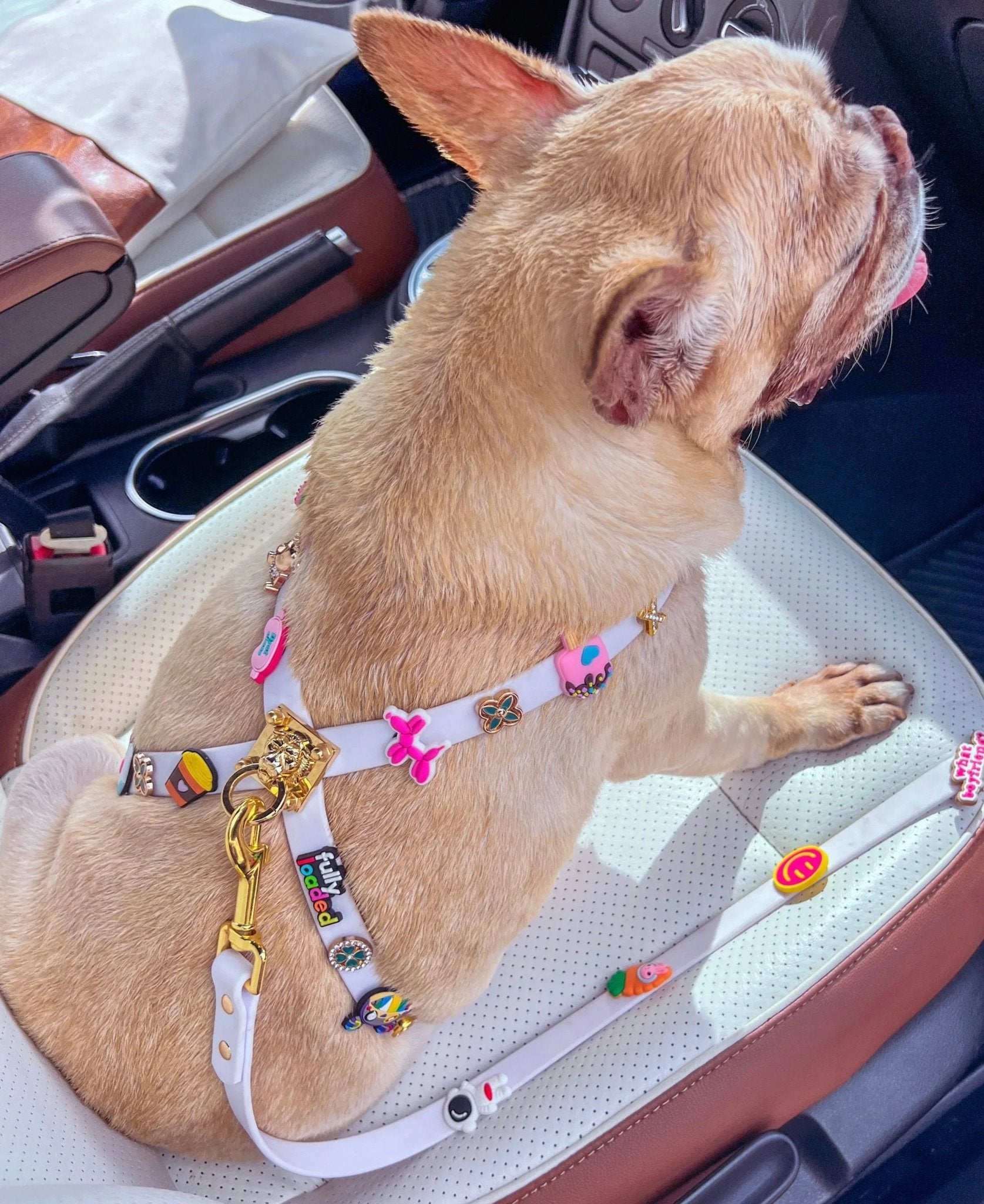 ClipUp Harness - POSHYC