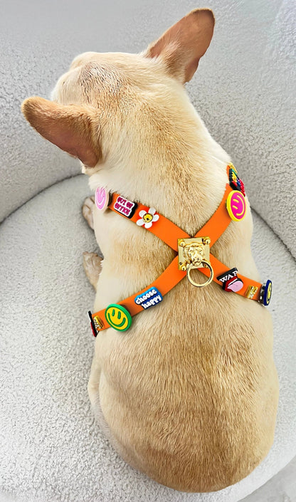 ClipUp Harness - POSHYC