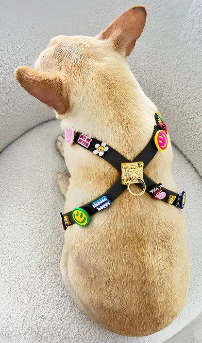 ClipUp Harness - POSHYC