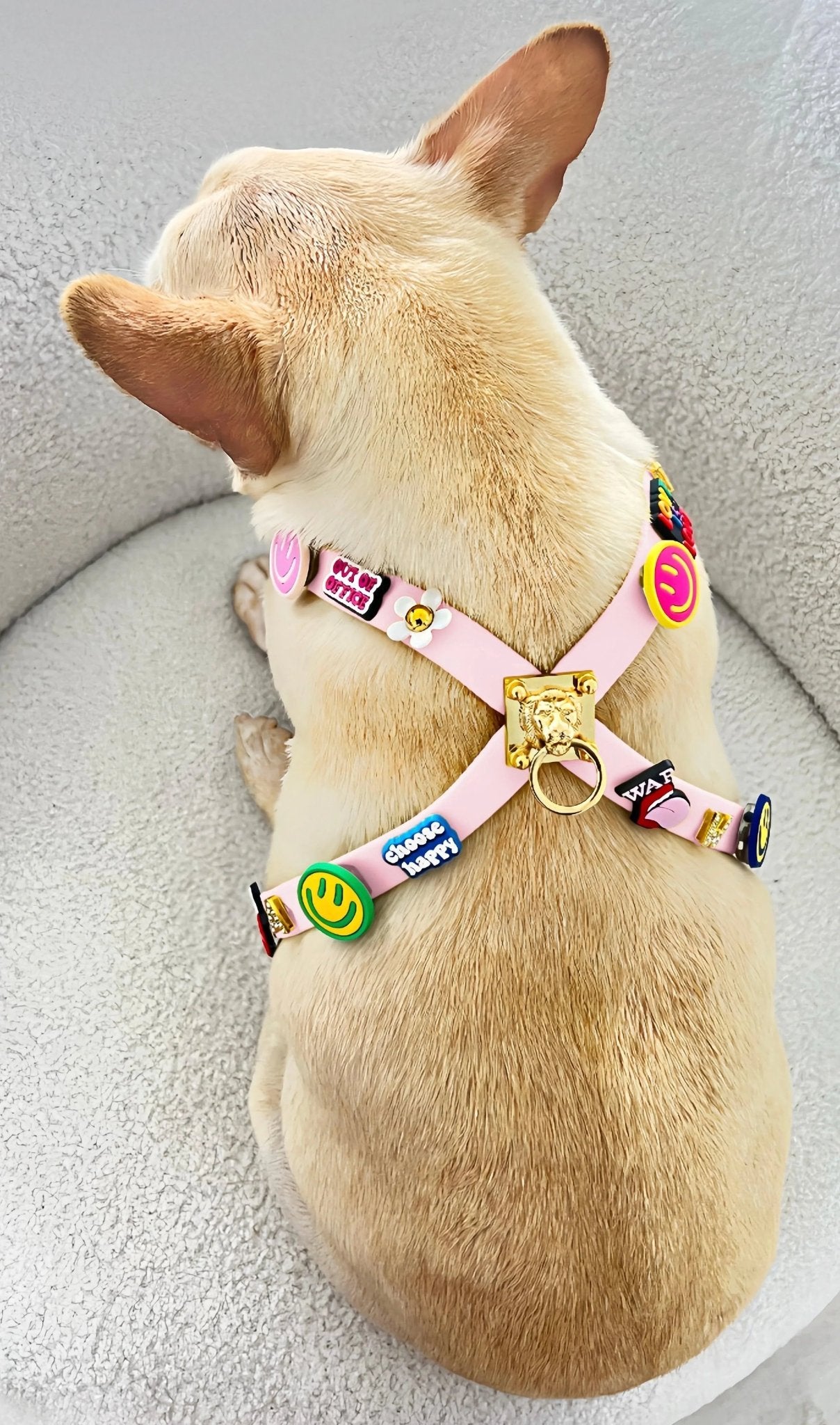 ClipUp Harness - POSHYC