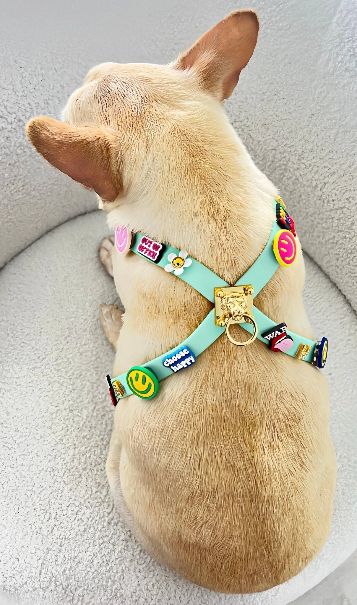 ClipUp Harness - POSHYC