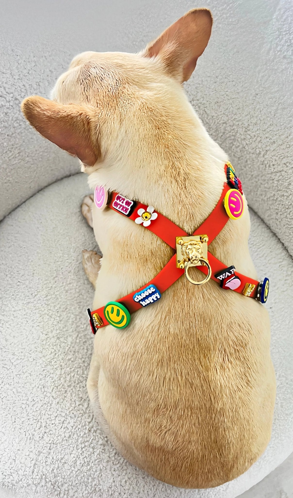 ClipUp Harness - POSHYC