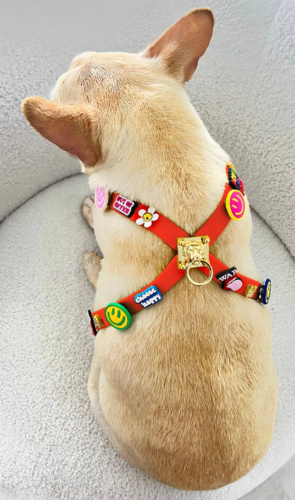 ClipUp Harness - POSHYC