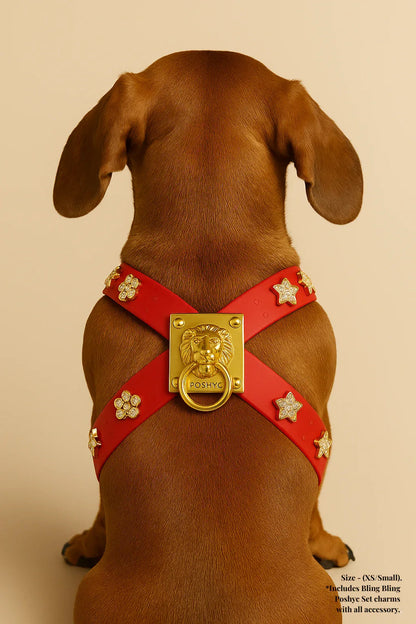 ClipUp Harness - POSHYC