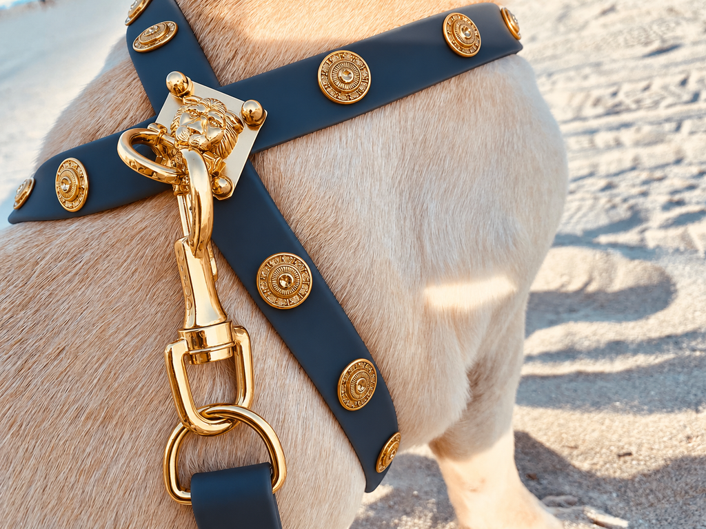 Harness ClipUp  + Baroc Clip-charms.