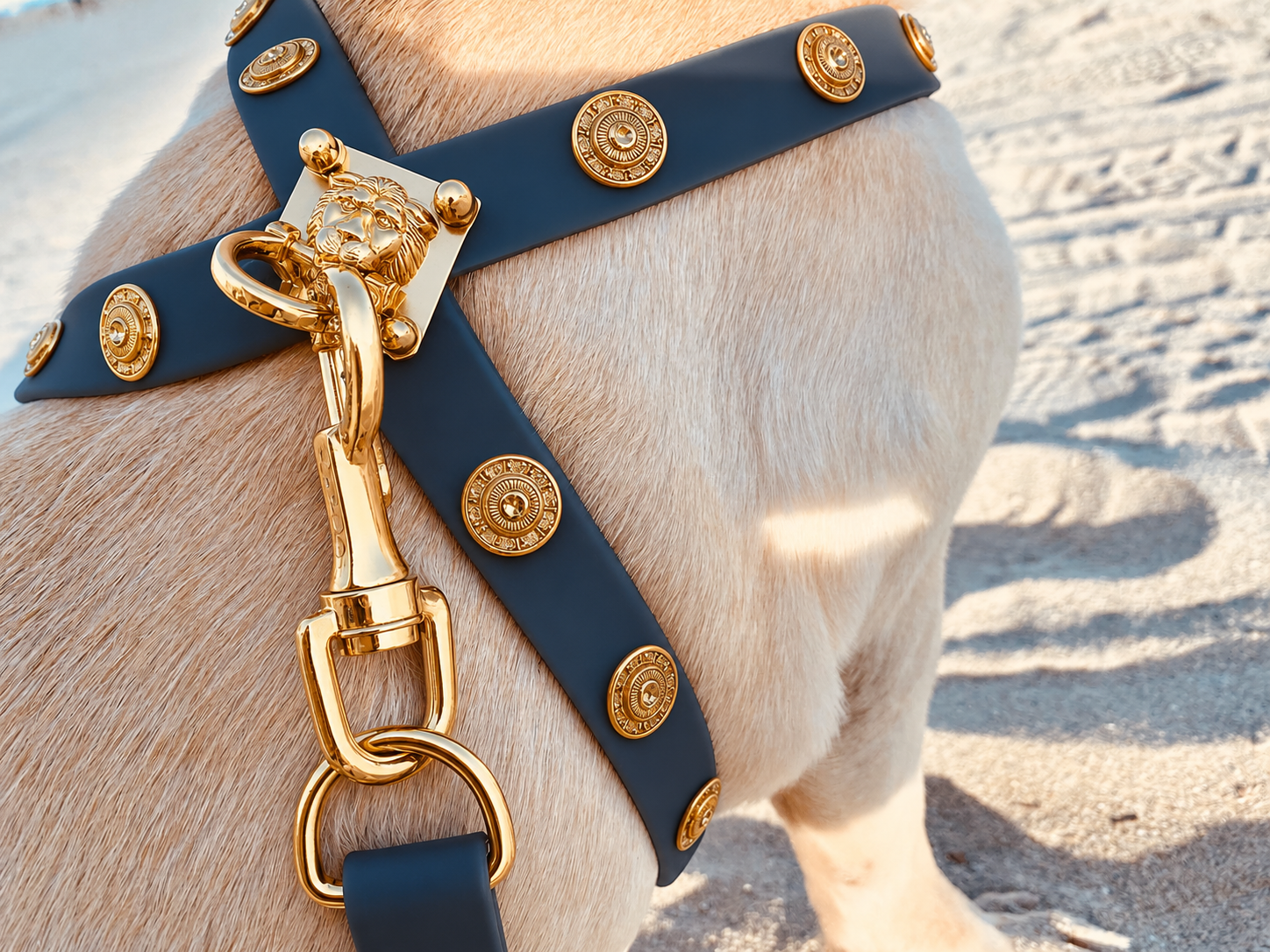 Harness ClipUp  + Baroc Clip-charms.