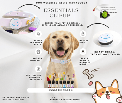 Essentials Charm ClipUp - POSHYC