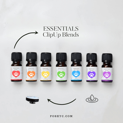 Essentials Charm ClipUp - POSHYC
