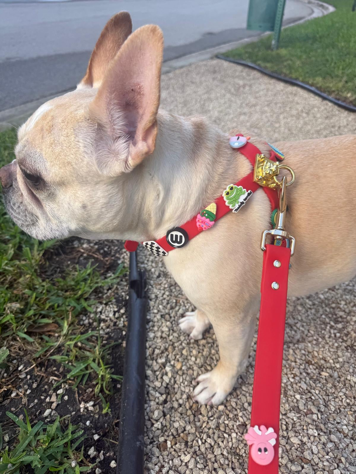 ClipUp Harness - Bling Bling Charms included.