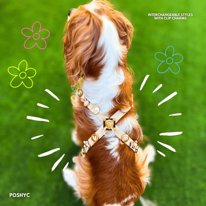 Golden Chic Parisian ClipUp - Charms - POSHYC