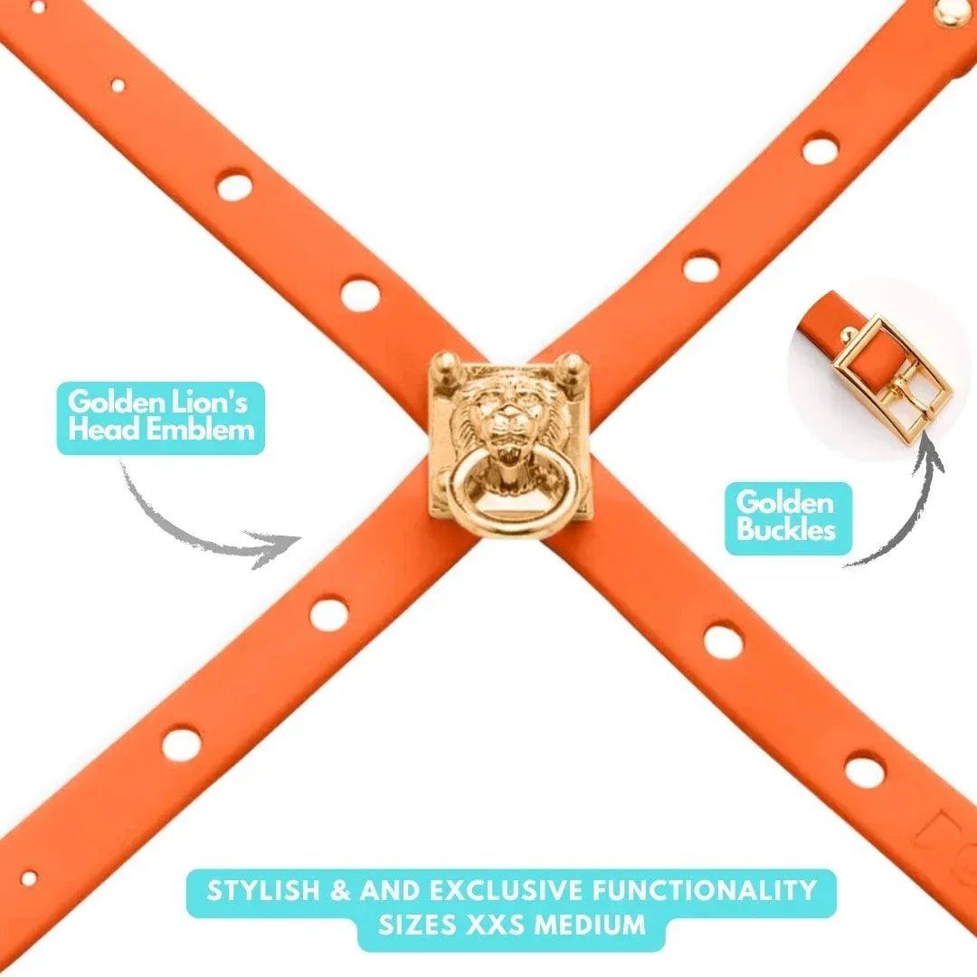 Harness ClipUp - Soccer Collection. - POSHYC