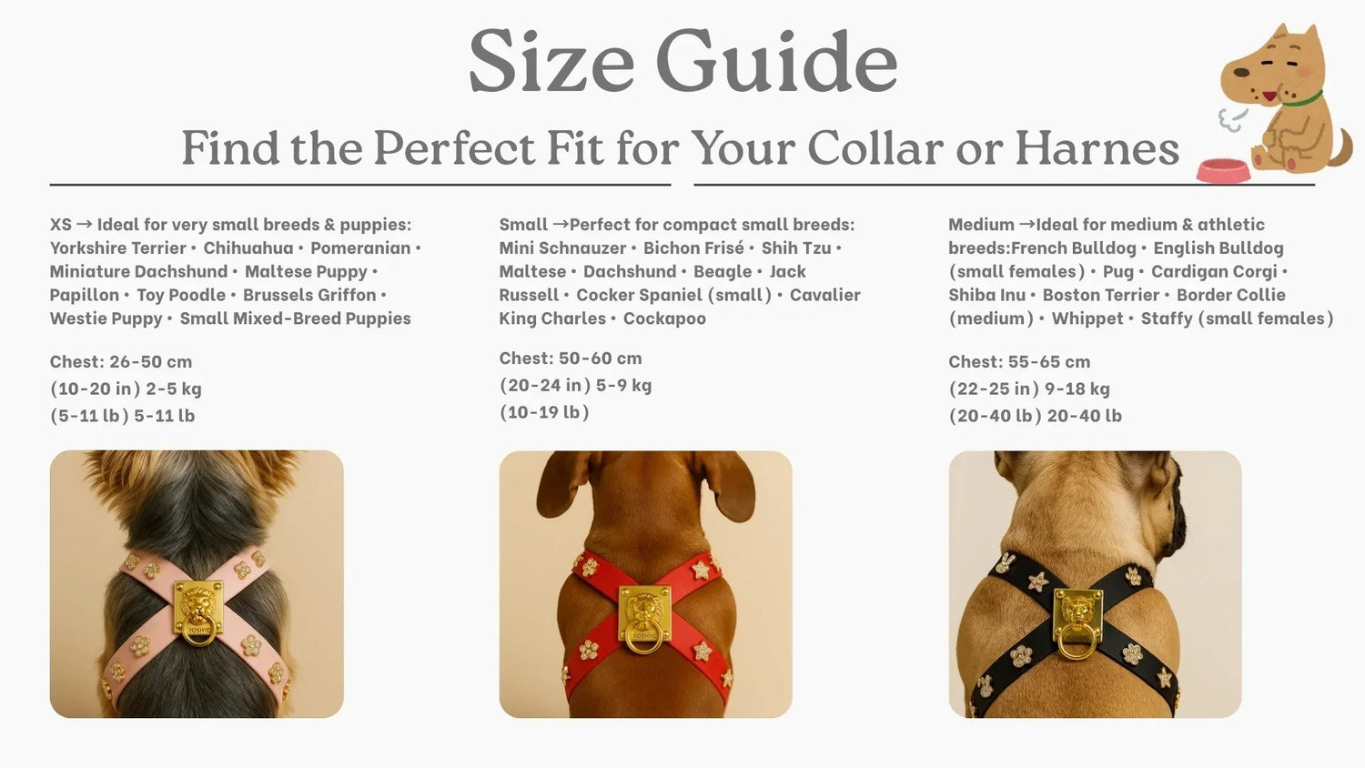 Harness ClipUp - Soccer Collection. - POSHYC