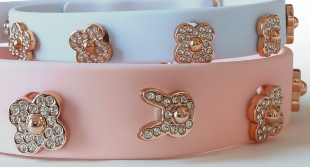 Two dog collars with decorative flowers and a 'D' emblem on a white background