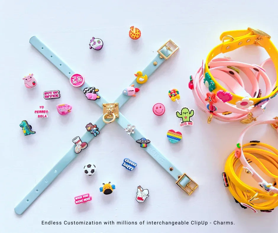 Monthly Charms box - POSHYC