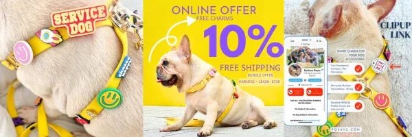 Poshyc Gift Card - POSHYC